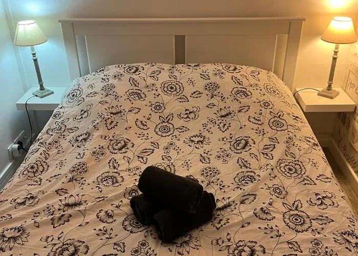 Magnifique F2 En Plein Centre *